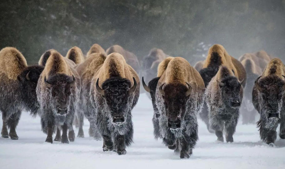 四川立智丰建筑工程有限公司轮播图3